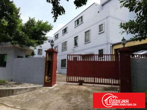 虎门金洲新出原房东厂房二楼850平方，面积实在，可办环评