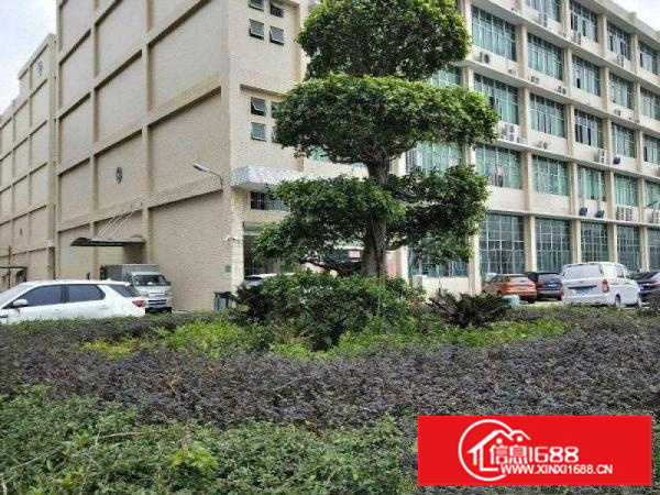 龙华大浪，整层2300平，带装修水电齐全