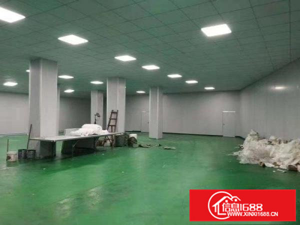 原房东无尘车间出租，可做口罩
