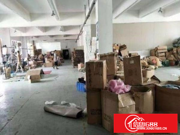 横沥六甲单一层2700平方米厂房招租