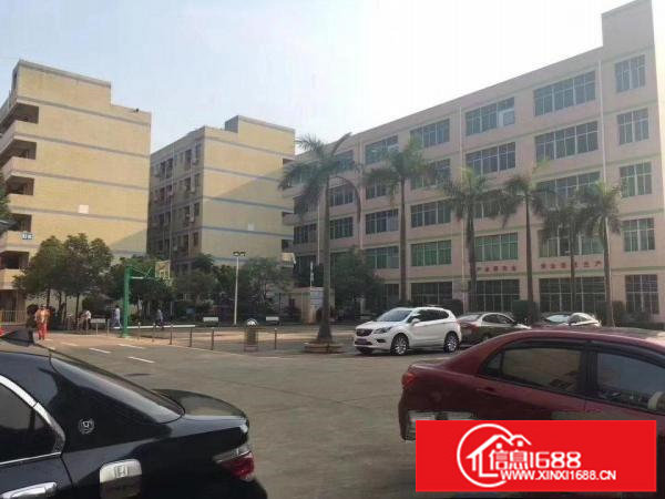 平湖华南城新出3楼带豪华装修厂房1000平米现成办公室