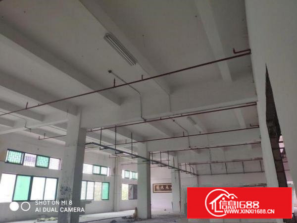 东莞塘厦超笋全新厂房470方招租