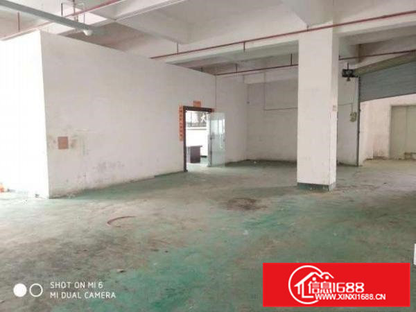 树田新出楼上带部分装修厂房1000平