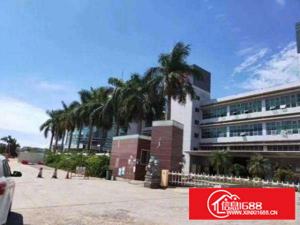 西乡独门独户厂房业主急租