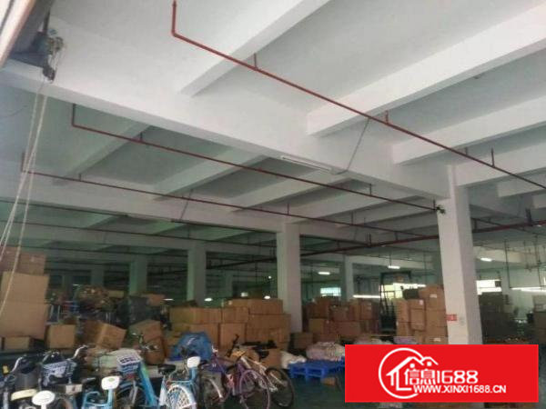 清溪罗马空出一楼厂房2000平方，首层楼高5米