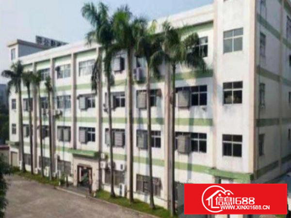 高埗独院标准厂房分租二楼2000平方带地坪漆