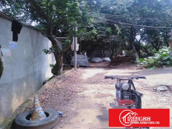 原房东可做污染，空地大，杨屋出单一层钢构厂房500平低价出租