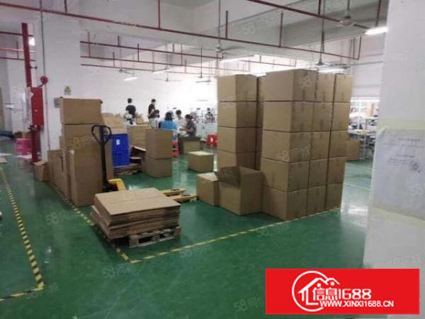 大浪新百丽原房东厂房精装修500平