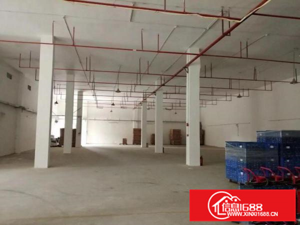 博罗龙华工业区包装行业36000平方