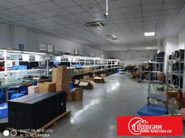 清溪松岗村新出单一层1000平方米7米高厂房招租