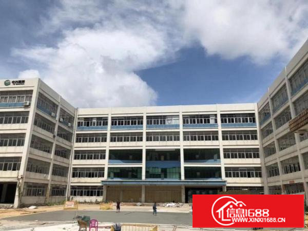 布吉木棉湾新出园区500;1000;1500平可大小分租