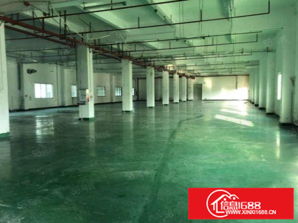 容桂1000平方厂房出租形象好带装修招工方便