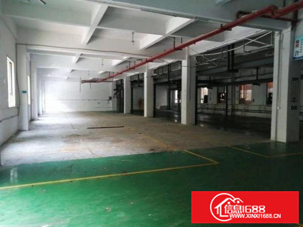 金洲工业区一楼1000平方厂房，带现成办公室，行车