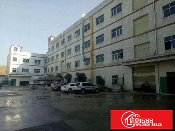 凤岗官井头6米高一楼厂房出租1000平近大运城邦