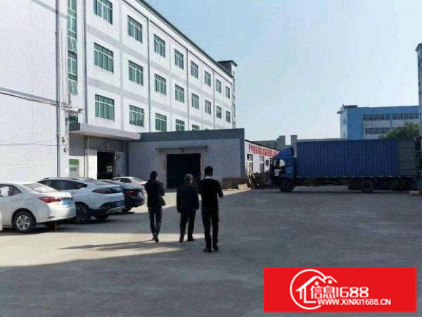 石井工业园新出楼上精装修厂房580平出租