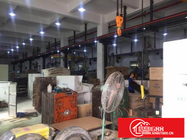 横沥原房东标准独院带现成装修形象非常