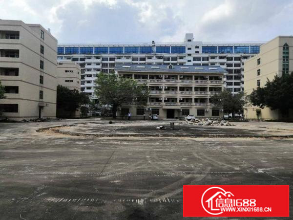 龙岗坪山坪独院地教育培训基地学厂房场地25000平合同10年