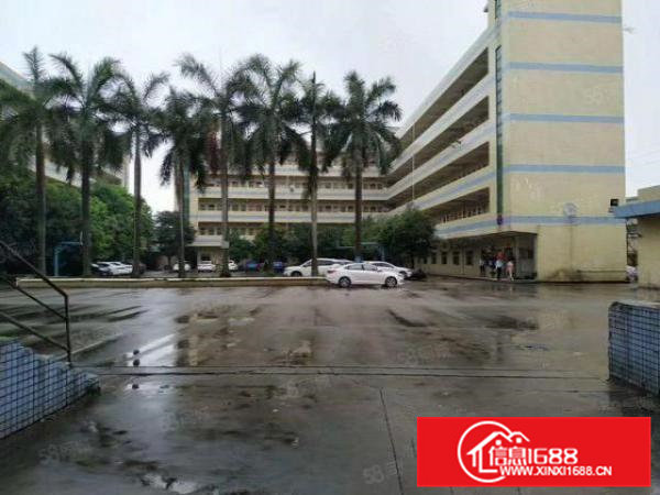 茶山镇伟建工业区10000平方招租形象好位置佳