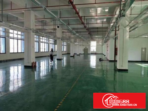 沙井步涌原房东厂房一楼一千二楼一千平方厂房无公摊出租