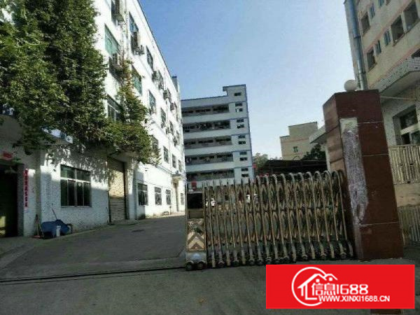 坪山碧岭新出楼上厂房400平米(带装修)