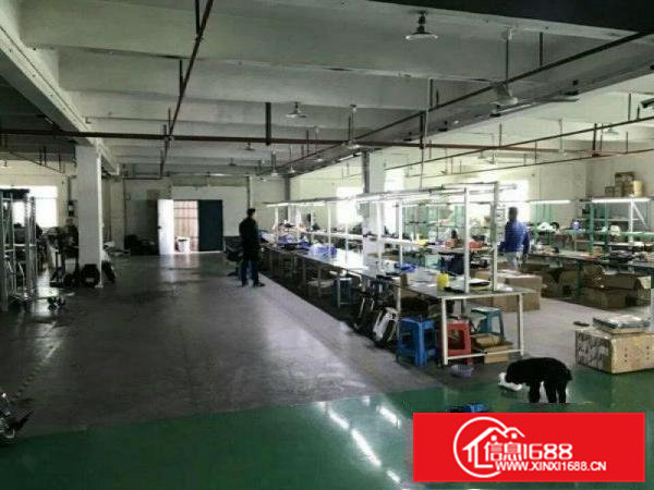 凤岗油甘埔3楼800平米厂房出租带办公室装修