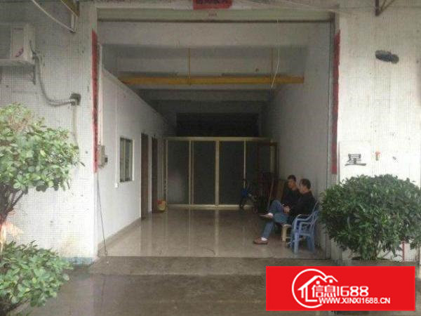 常平司马新出一楼1500平米厂房招租