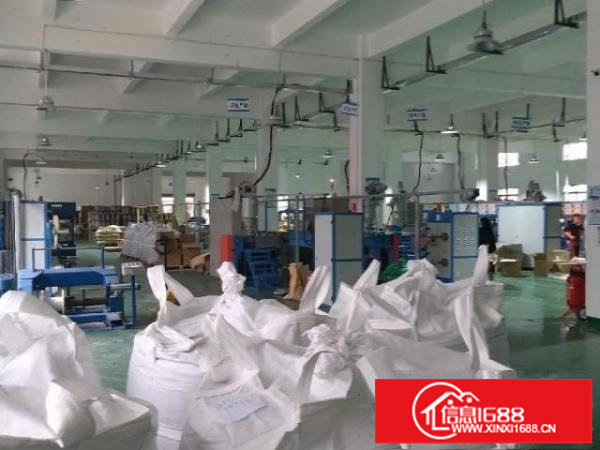 龙华大浪7米高一楼标准厂房出租