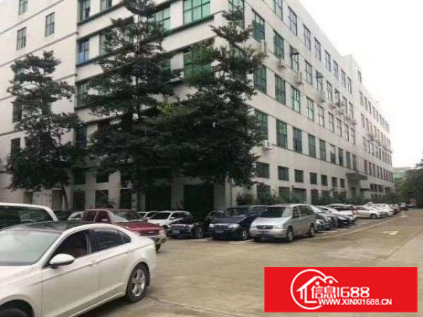 大浪雅迪宝科技园新出三楼2900平带装修形象好18块