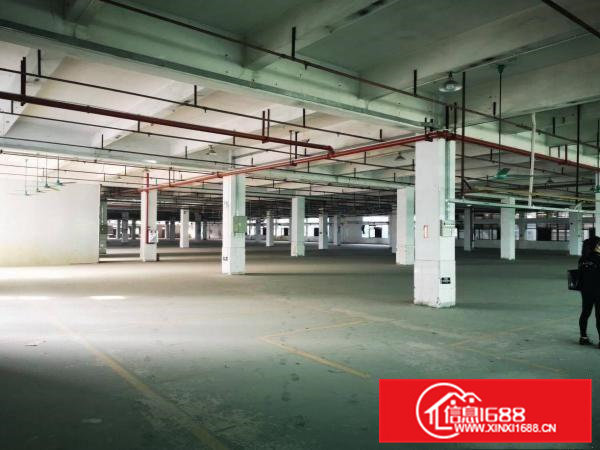 大岭山原房东独院标准厂房出租空地大面积实量带消防喷淋可办环评