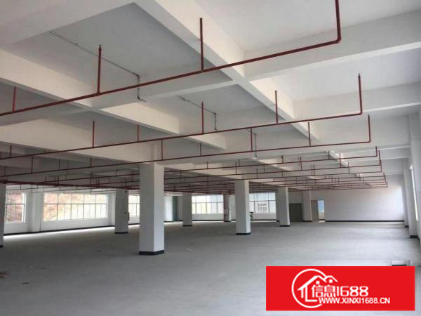 全新高速路口全新厂房13000平超大空地惠阳镇隆