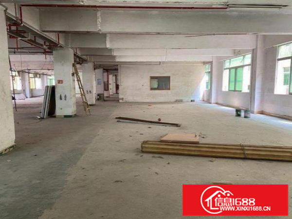 横岗旱塘村大型工业园区1500平方厂房出租适合电子