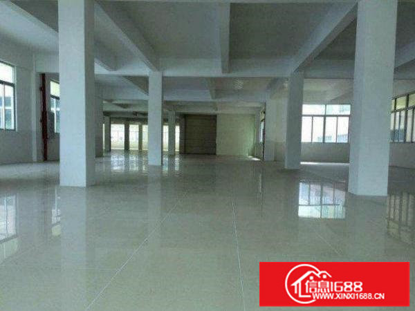 横岗龙岗大道新出1200平方楼上厂房招租无公摊