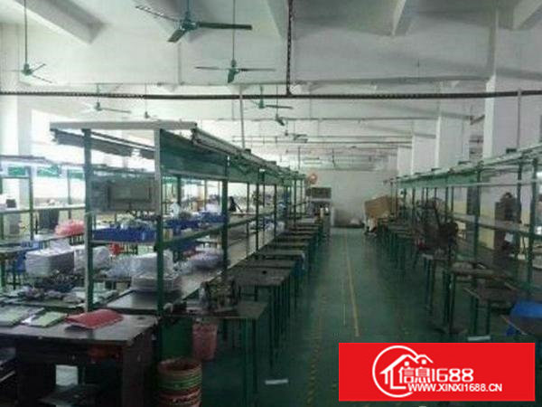 出租龙岗区188工业独院带装修1360平;带球场;入驻可生产