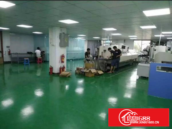 塘厦石潭埔300平米标准厂房一楼形象好配套设施齐全水电齐全