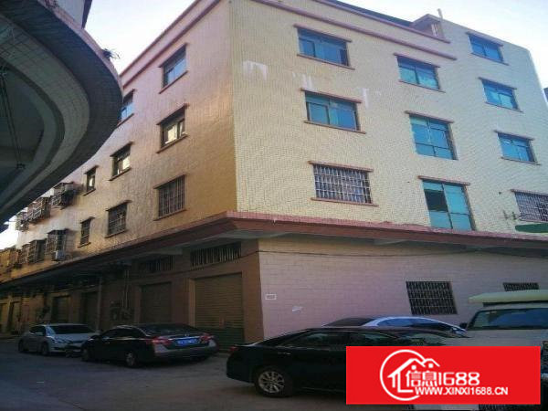 自建房，独立单幢四层半