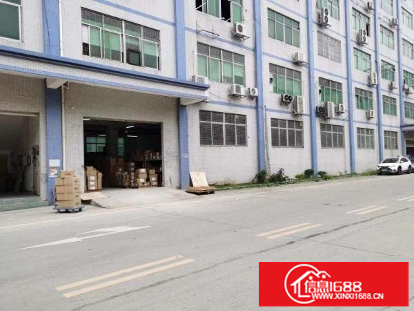 坂田上雪科技园一楼二楼200至2000平厂房仓库出租