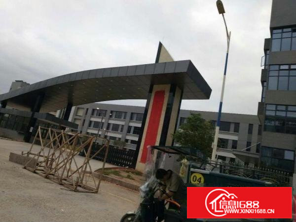 新城工业区，一栋标准厂房一楼，2600平米出租