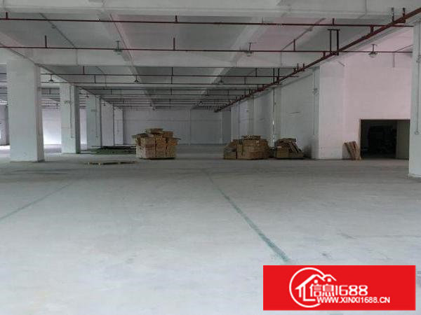 西丽地铁口。新出一楼1000平方起分租