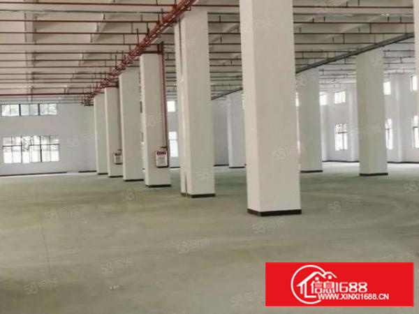 原房东厂房招租.精装办公室.卫生间