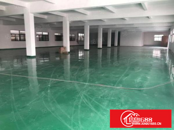 独门独院带办公，容桂工业区800方标准厂房带地坪漆五金环评A