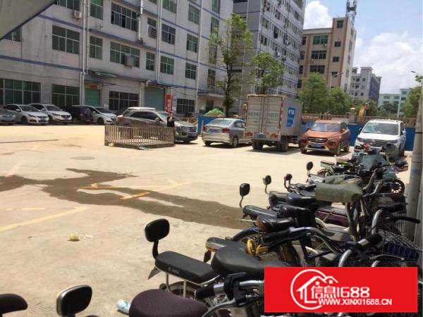 原业主直租一楼厂房物流仓库300平至1300平实用率高