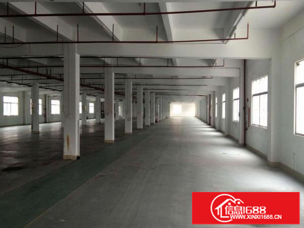 惠州小金口新出红本标准独院厂房6800平方出租