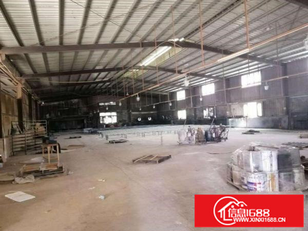 石排原房东单一层钢构厂房出租3000平方，高度7米，空地大