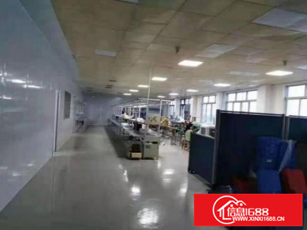 丹灶塱心一楼1250平方带装修办公室厂房出租