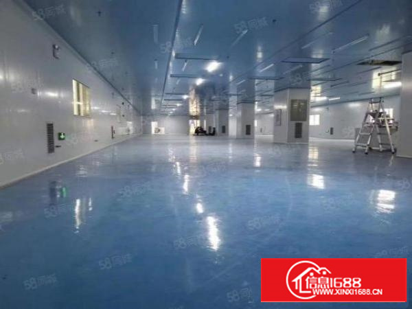 靠市区出租楼上带装修，带水电办公室，带正规电梯，500起分租