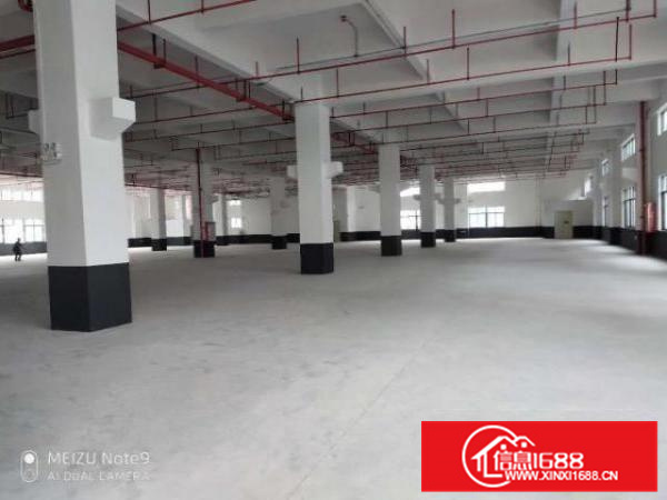 容桂高黎高新区厂房出租