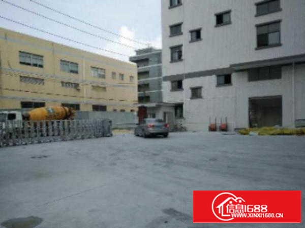 万江工业区标准带装修一楼1000平方招租水电齐全