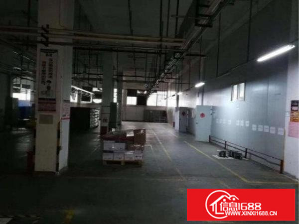 7000平带高台卸货平台标准厂房可分租