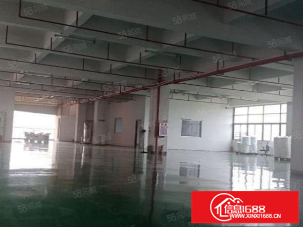 凤岗花园式厂房楼上精装修1200平方现成地坪漆办公室