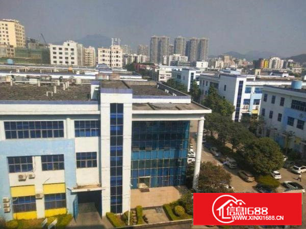 树田楼上1100平方精装修厂房无需转让费水电齐全